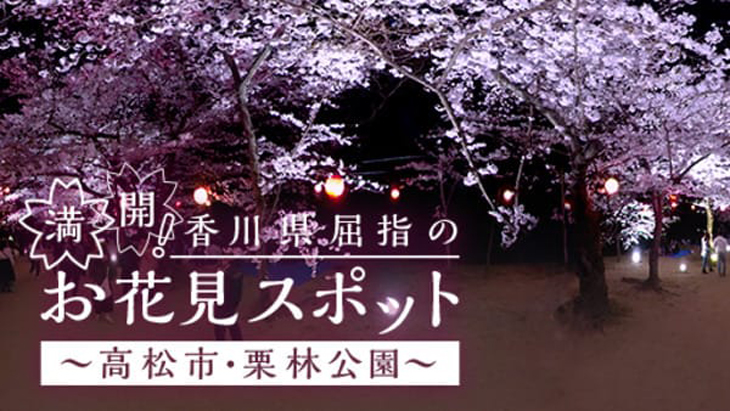 VR動画：満開！香川県屈指のお花見スポット ～高松市・栗林公園～