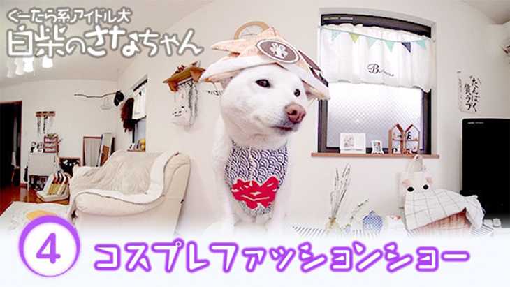 VR動画：＃4 コスプレファッションショー / ぐーたら系アイドル犬 白柴のさなちゃん