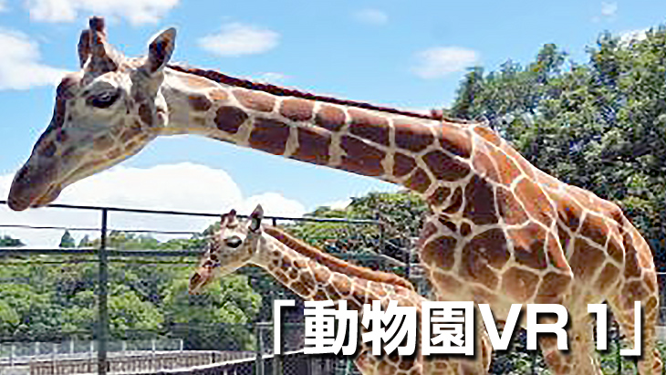 VR動画：【無料】動物園VR 1