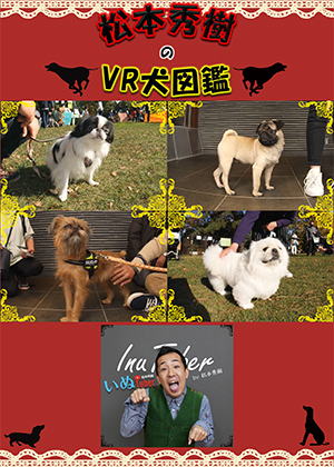 VR動画：松本秀樹のVR犬図鑑！可愛い！はなぺちゃ犬編（狆、パグ、ブリュッセル・グリフォン、ペキニーズ）