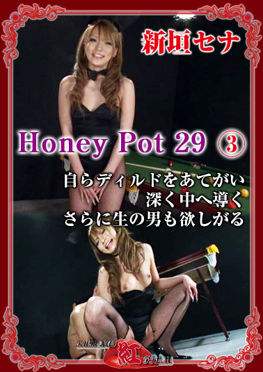 ③Honey Pot 29 新垣セナ