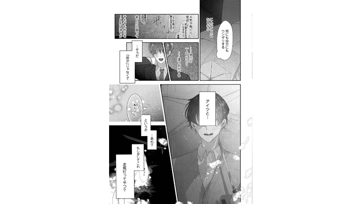 甘く滴る幼馴染の妄愛 Rain.1〈恋蜜ミエーレ〉 イメージ