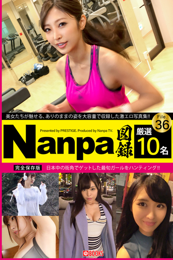 Nanpa図録 File.36 イメージ